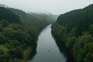 A river in the middle of a forest photo
