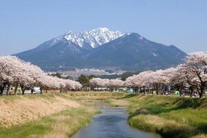 A river with trees and mountains in the background photo