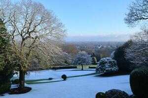 A snowy landscape with trees and a sky photo