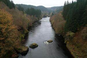 A river flowing through a forest with trees photo