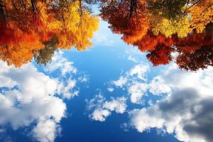 Autumn trees and clouds reflected in a blue sky photo