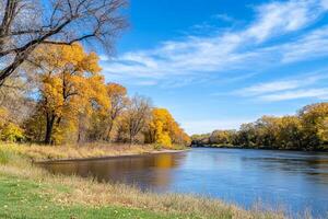 A river with a bench and a tree in the background photo