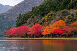 Autumn trees on the shore of a lake photo