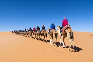 A group of people riding camels in the desert photo