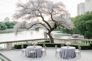 A table set up in front of a tree with white linens photo