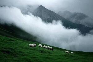 Sheep grazing on a green hillside with mountains in the background photo