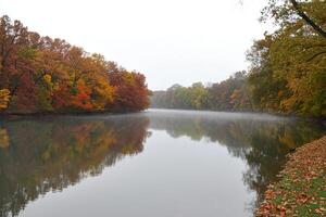 A river with trees in the background photo