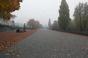 A path in the park is lined with leaves photo
