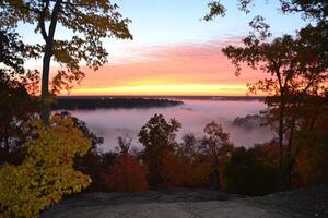 A view of the foggy forest at sunrise from a rock photo