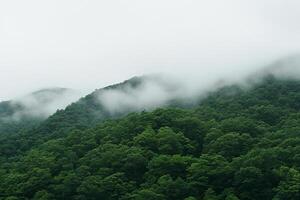 A mountain with trees and a train photo