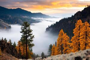 A beautiful mountain scene with trees and fog photo