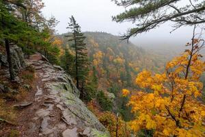 A trail leads up a mountain in the fall photo
