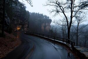 A road with a bridge and a light on it photo