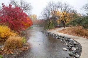 A river running through a park with trees and rocks photo