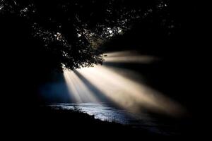 Sunbeams shining through trees over a river photo