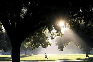 A person is running in a park with the sun shining through the trees photo
