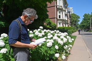 A man is reading a book while standing in front of a row of white flowers photo