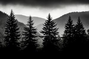 Black and white photo of trees in the mountains