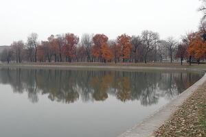 A park with a lake and trees in the background photo