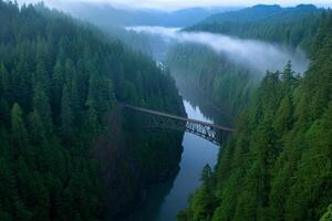 A bridge crosses over a river in the middle of a forest photo