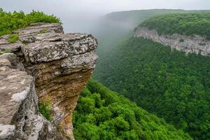 A view of the gorge from the top of a cliff photo