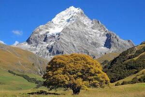 A large mountain with a tree in front of it photo
