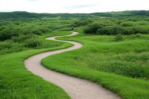A person is walking on a path in a field photo