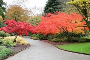A paved pathway photo