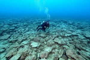 A scuba diver in the ocean near some rocks photo