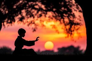A person is practicing karate in the sunset photo
