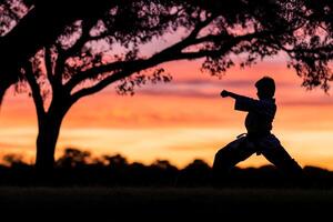 A man in karate gear practicing in the park at sunset photo