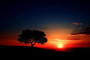 A lone tree is silhouetted against a sunset photo