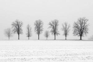 A black and white photo of trees in a snow covered field