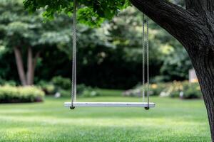 A swing hanging from a tree in a grassy field photo
