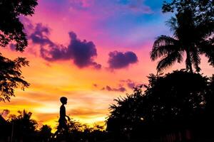 A silhouette of a person walking in the park at sunset photo