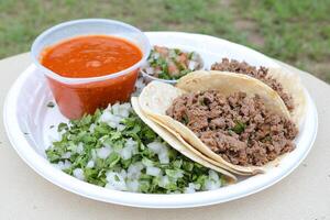A plate of food with a side of salsa photo