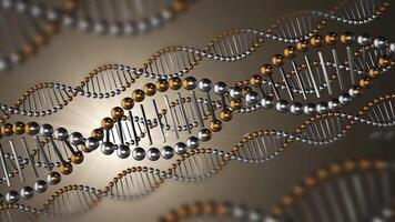 Exploring the structure and significance of DNA in genetic research and biotechnology advancements video