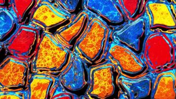 Colorful patterns of crystal structures revealed under microscope at a laboratory video