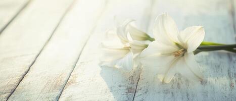 White flowers resting on a rustic wooden surface photo