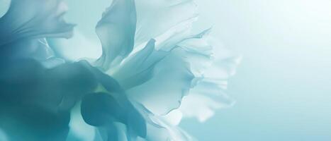Soft blue floral petals create calming atmosphere photo