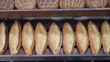 Freshly baked bread displayed in a local bakery shop video