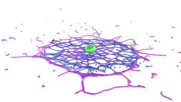 A green object is in the center of a cell video