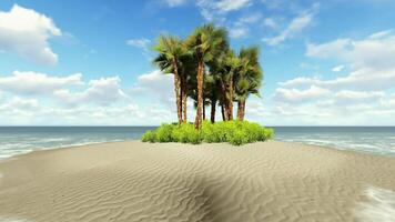An island with palm trees on it video