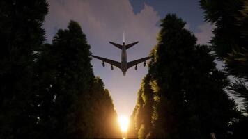 A plane flying over a forest with trees and sun video