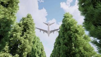 A plane flying over a forest of trees video