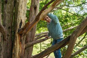 Child Climbing Tree with Enthusiastic Expression photo