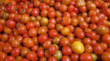 Full frame close-up of numerous small, round cherry tomatoes in various shades of red and orange, highlighting their fresh and healthy appearance photo