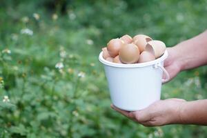 Hand holding bucket of eggshells in garden, ready to be used for composting. Concept food waste management, promoting eco friendly practices and sustainable gardening to enrich the soil naturally photo