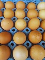 Chicken eggs are meticulously arranged in an eye-catching formation on a vibrant, cartoon-style plate, highlighting the colorful patterns and whimsical design. photo