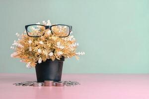 Fake flower pots with glasses on the leaves and there is money, coins on the wood table stack with a background in blue and pink pastel tones. With copy space. Save money during summer and relaxation photo